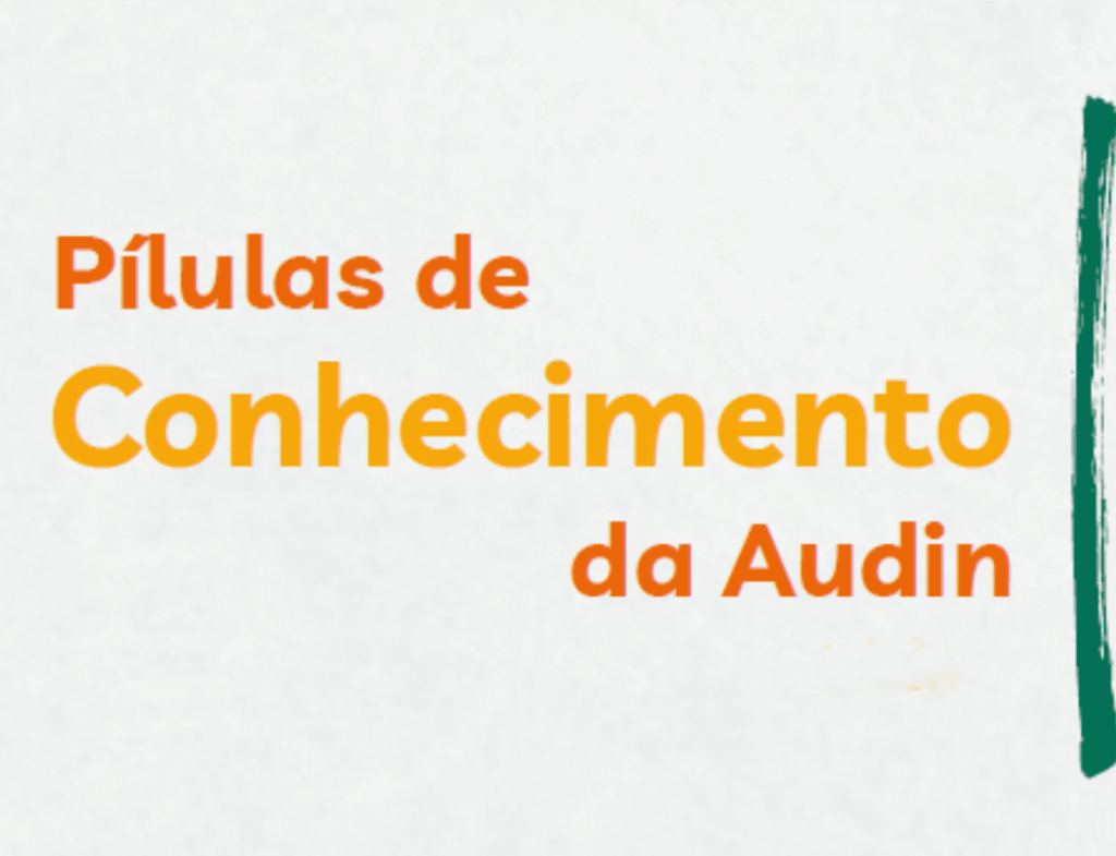 Pílulas de Conhecimento da Audin – Transparência e Acesso à Informação