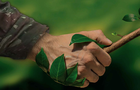 Banner evento