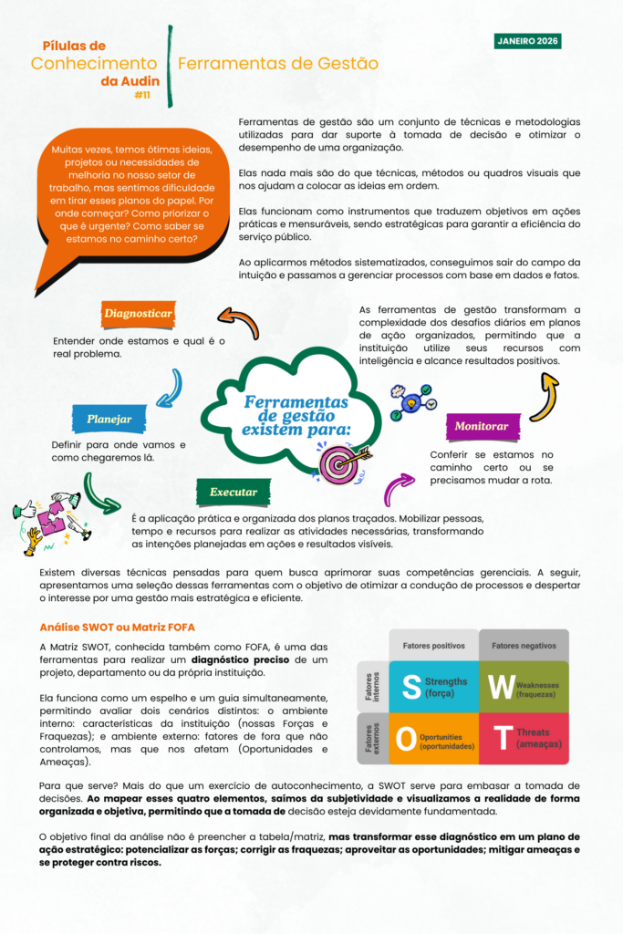 Pílula de conhecimento da Audin #11